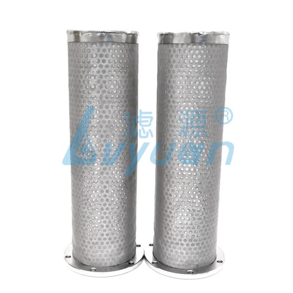 Stainless Steel Perforated Mesh Filter Cartridge (4)
